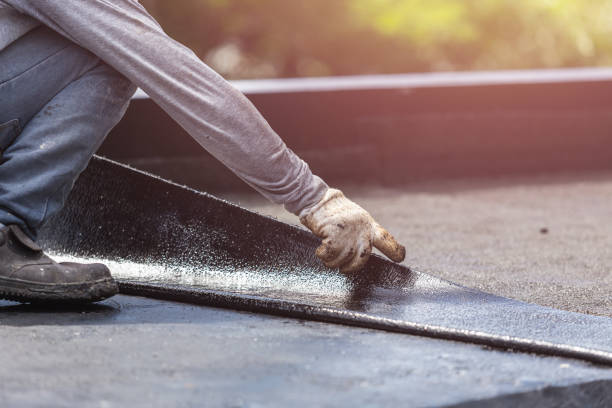 Professional Interior Drainage System technician working in Stafford, NY